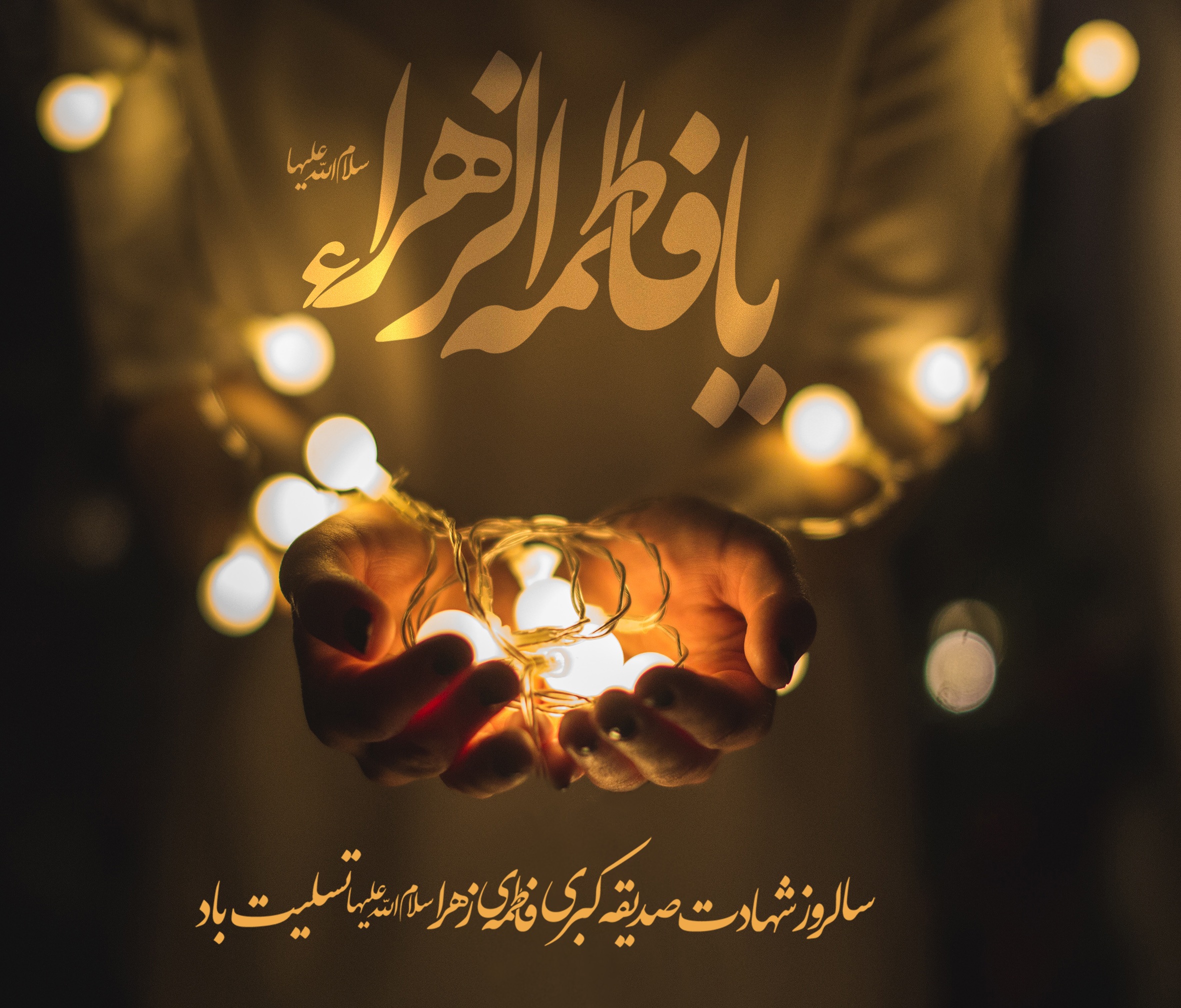 University of Hormozgan